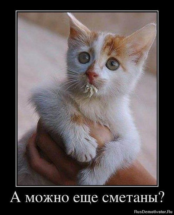 1328865586_demotivators_64 (566x700, 64Kb)