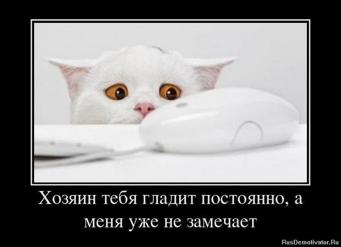 1329082897_12961363_hozyain-tebya-gladit-postoyanno-a-menya-uzhe-ne-zamechaet (700x507, 33Kb)