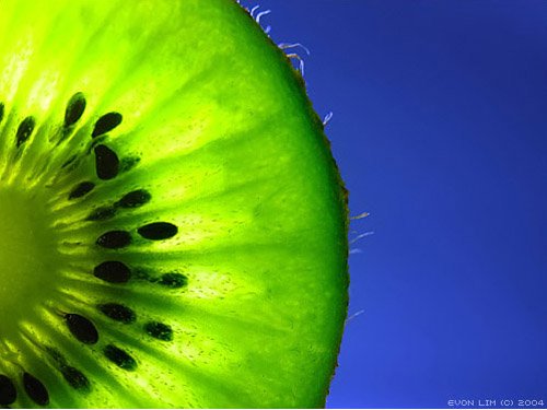a99eb9d0e79a (500x375, 31Kb)