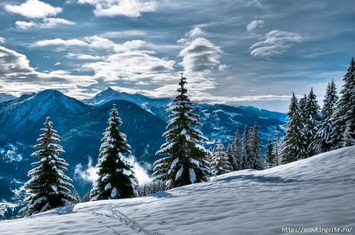 hdr_16 (700x464, 206Kb)