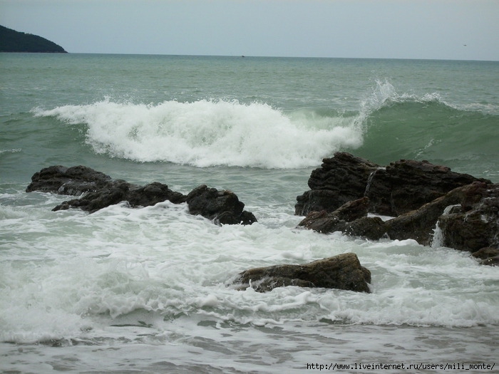 IMG_0011 (5) (700x525, 209Kb)