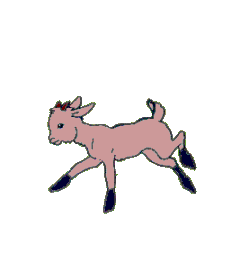 Анимация животные на прозрачном фоне. Анимация козлик. Анимированная коза. Анимация козленок.