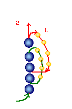sh21_2 (146x221, 1Kb)