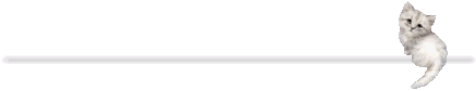 a67aedfbdb78 (300x84, 4Kb)