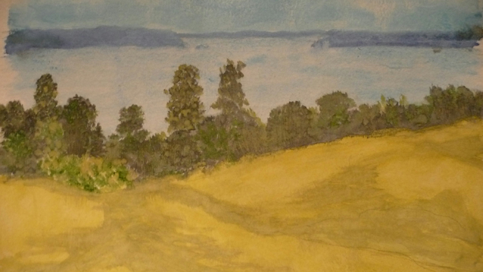 P1040561 (700x393, 247Kb)