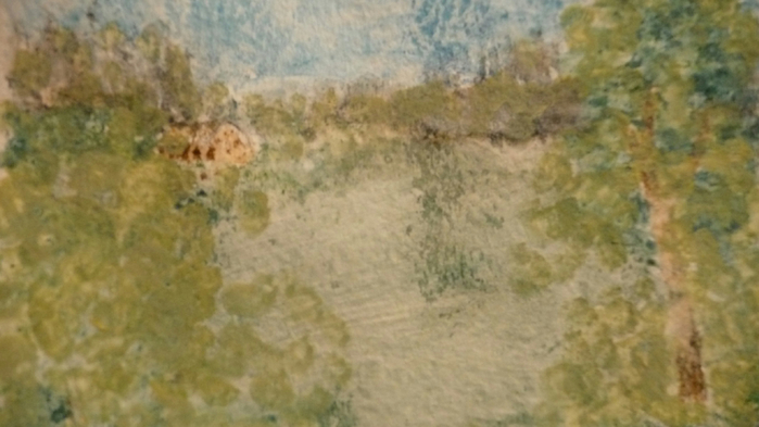 P1040586 (700x393, 259Kb)