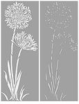  agapanthus-layout (244x320, 13Kb)