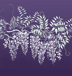  wisteria-large-g12 (350x367, 56Kb)
