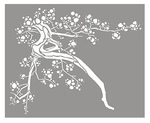  xl-cherry-blossom-l1 (339x278, 29Kb)