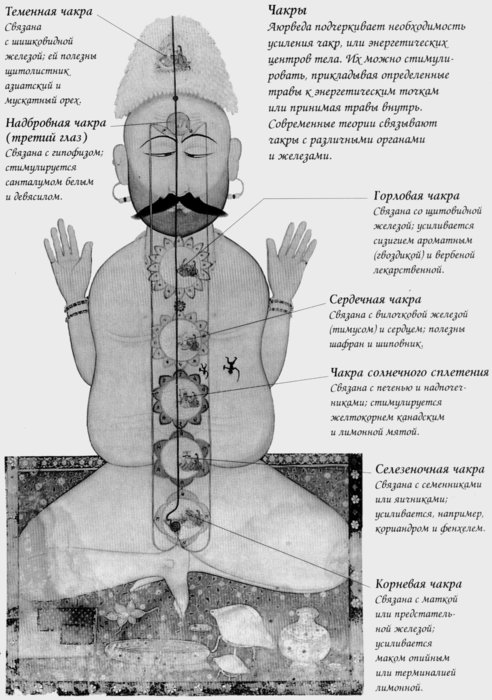 Чакра головы. Чакры человека. Чакра солнечного сплетения. Чакры головы человека. Теменная чакра.