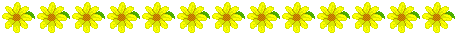 0_429a3_d4f29bf8_XL.jpg (458x34, 3Kb)