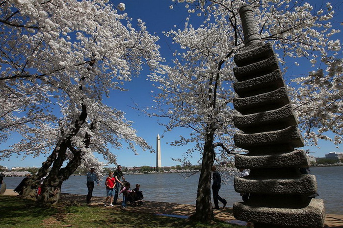 ss-100401-cherry-blossoms-04.ss_full1 (700x466, 188Kb)