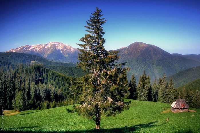 Carpathians_aroundtheworld (4) (700x465, 192Kb)