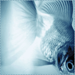 1329758131_1ecd3ca_8ff117 (150x150, 41Kb)
