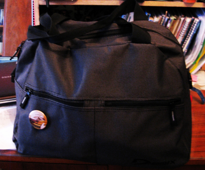 1082966_IMG_6671 (700x580, 321Kb)