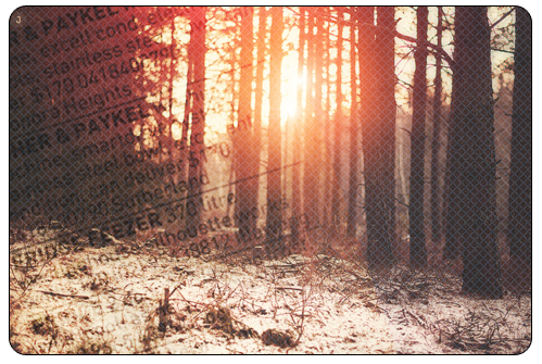 3770037_5656 (499x335, 399Kb)