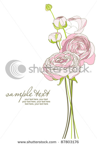 stock-vector-card-with-stylized-ranunculus-flowers-87803176 (315x470, 39Kb)