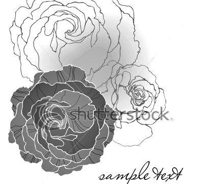stock-vector-card-with-vector-stylized-rose-84580429 (397x360, 78Kb)