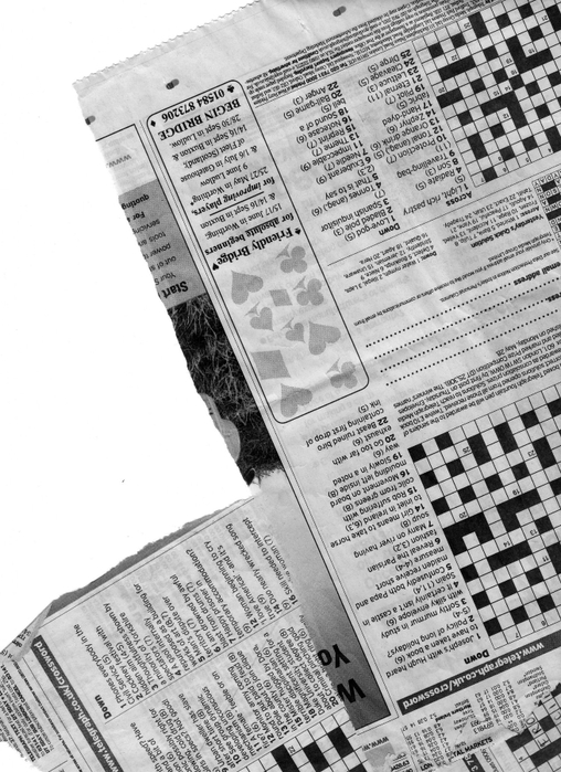 paperandnews008 (508x700, 246Kb)