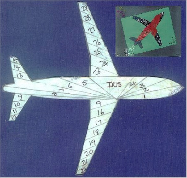 vliegtuig (605x576, 103Kb)