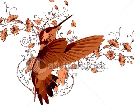 stock-vector-colibri-93469747 (450x357, 111Kb)