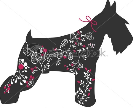 stock-vector-miniature-schnauzer-with-floral-design-46306966 (449x363, 72Kb)