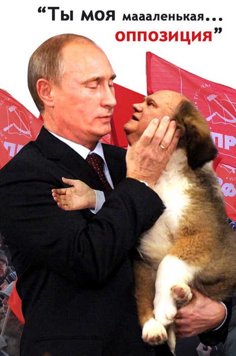 putin_puppy (466x700, 255Kb)