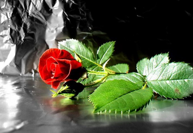 1275585496_0 (680x468, 78Kb)
