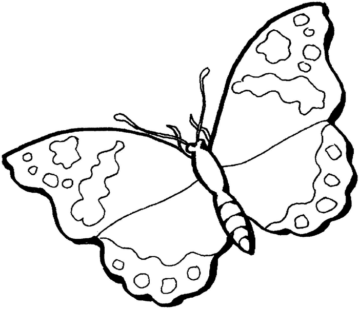 butterfly-12-coloring-page (700x603, 107Kb)