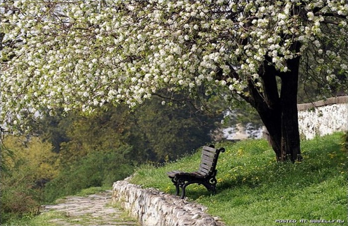 image14159520 (700x455, 143Kb)