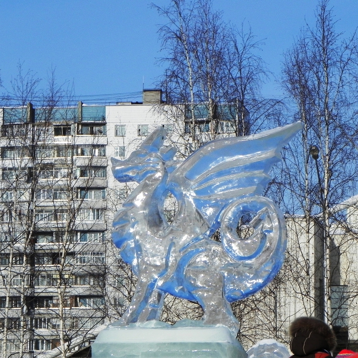 DSCN6267 (700x700, 484Kb)