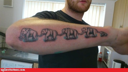 funny-tattoos-elephantipede (500x281, 27Kb)