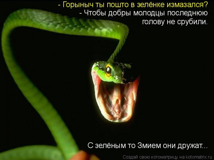 dlyakota.ru_kotiotkotomatrici_1323460556131 (700x524, 175Kb)