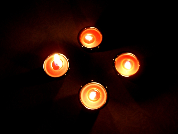 DSC02746 (700x525, 125Kb)