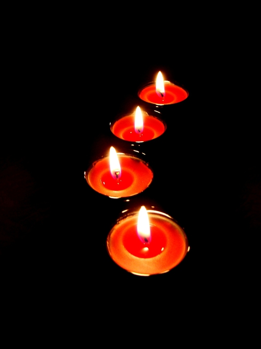 DSC02755 (525x700, 58Kb)