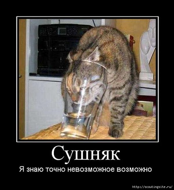 78_3817d4346a790a2dad981eaff585dde9 (600x654, 132Kb)