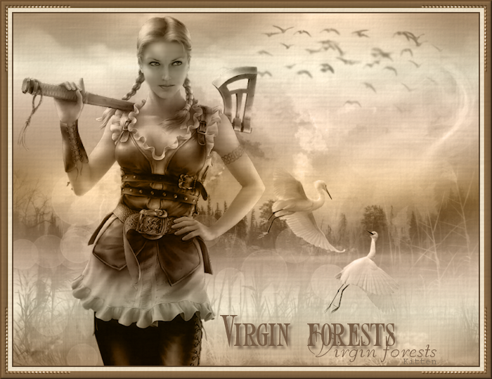 Virgin forests (700x539, 491Kb)