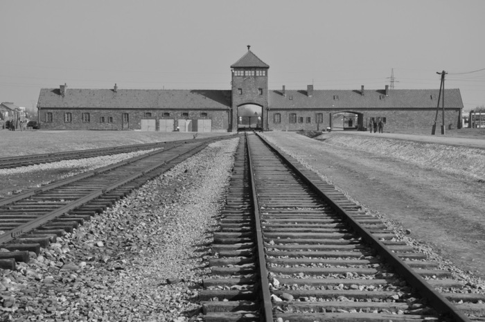 train tracks to Main entrance Birkenau (700x465, 103Kb)
