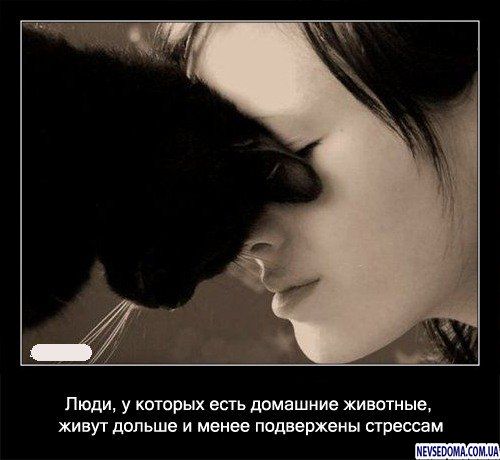 4721164_77295729_4493200_f81989fa (500x460, 32Kb)