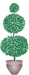  tree02_large (200x517, 19Kb)