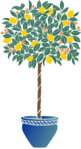  tree06_large (200x368, 16Kb)
