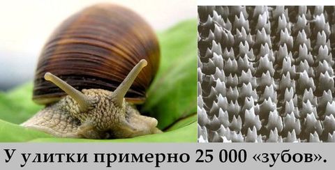 27 (480x244, 28Kb)