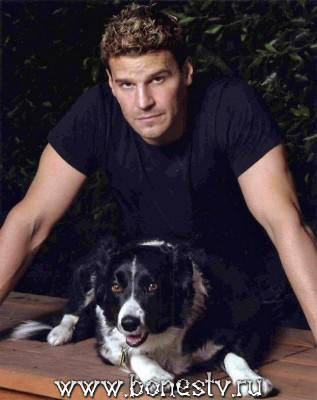 2190673_David_Boreanaz235 (317x400, 24Kb)