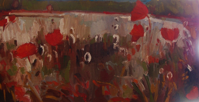 DSC02779 (700x358, 192Kb)