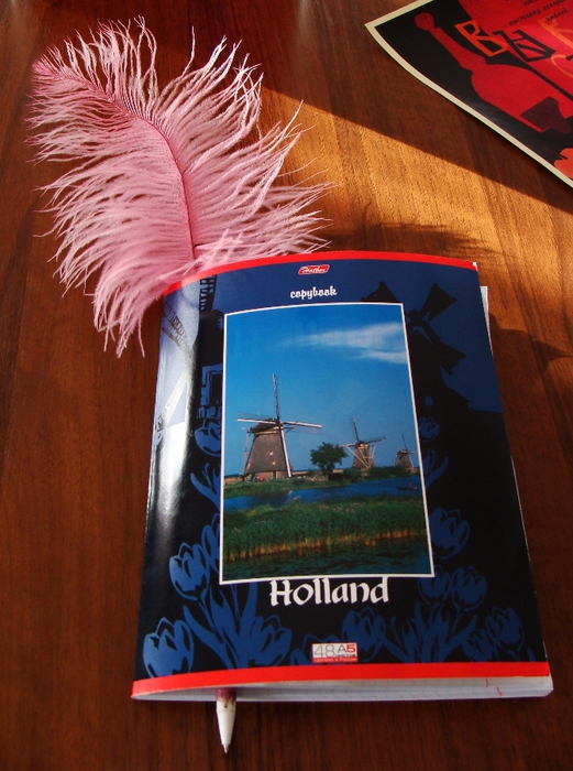 DSC02795 (521x700, 296Kb)