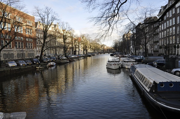 _DSC5630 (600x398, 170Kb)