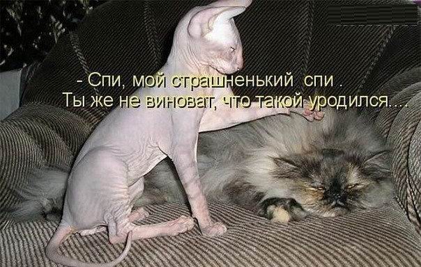 2 (604x384, 70Kb)