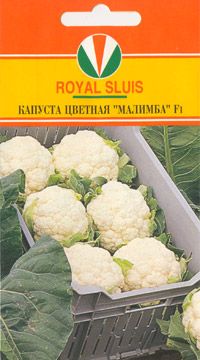 Голландская цветная капуста. Малимба цветная капуста. Капуста цветная Малимба f1. Капуста цветная Майорка f1. Капуста Малимба семена.