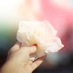 2620530_rolrplpn (150x150, 7Kb)