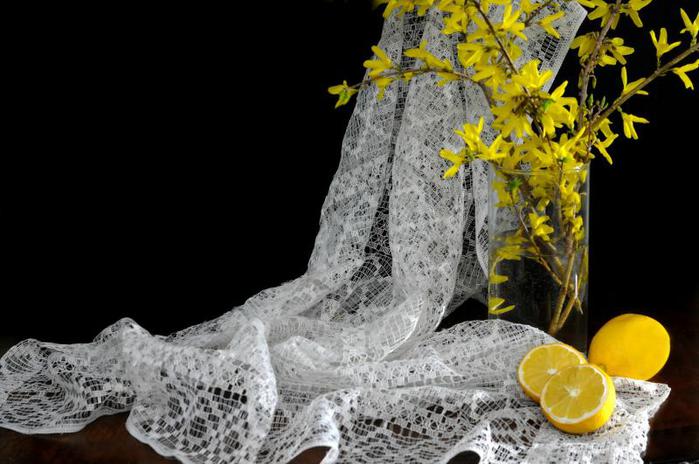 lemonsandlace_op_800x531 (700x464, 55Kb)